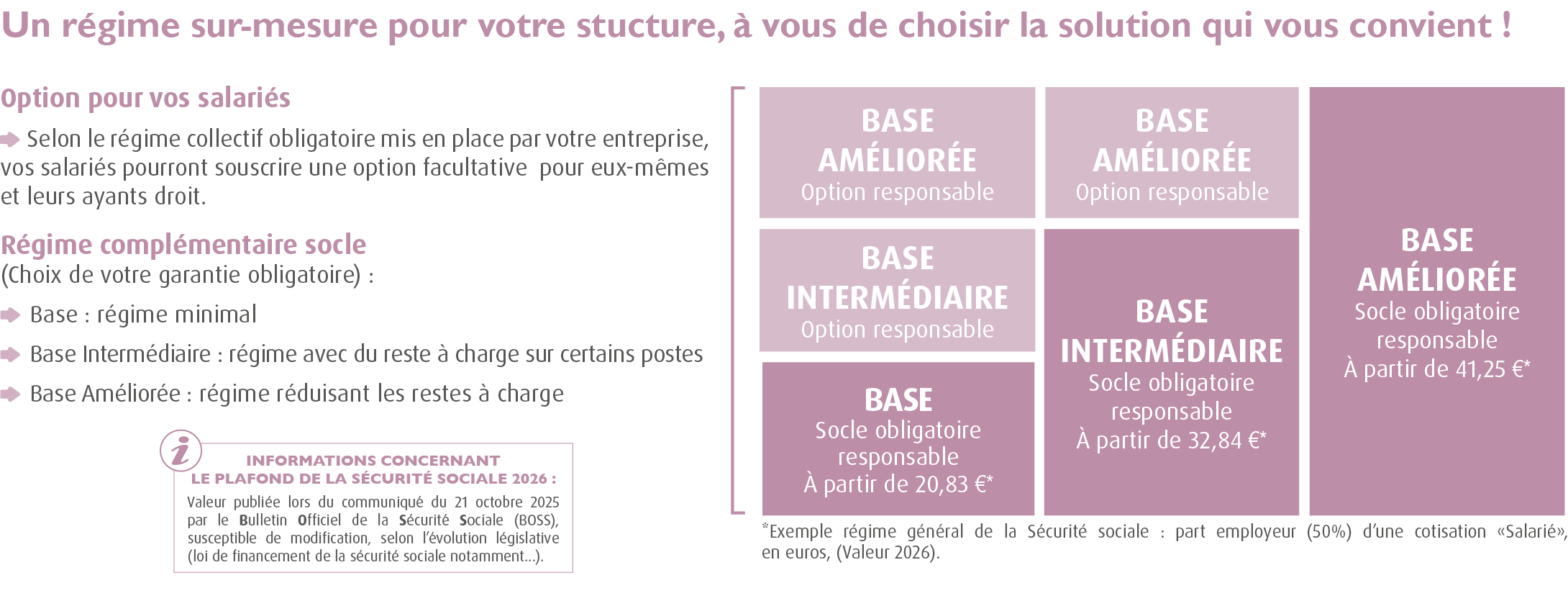 Mutuelle de l&rsquo;horlogerie bijouterie/Compl&eacute;mentaire de horlogerie bijouterie / branche horlogerie bijouterie (CCN  l&rsquo;horlogerie bijouterie/Convention l&rsquo;horlogerie bijouterie - Accord sant&eacute; convention collective horlogerie bijouterie 100% Sant&eacute;) / MUTUELLE UBH  : structure